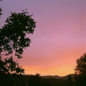 Meet your Posher, Athyna